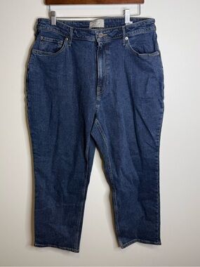 Everlane The Curvy Cheeky Jean blue size 33 crop